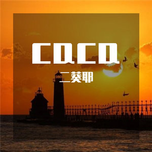 纯音乐-那些花儿~1（二葵耶 remix）