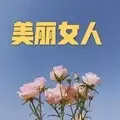 美卷入画 (男声版)