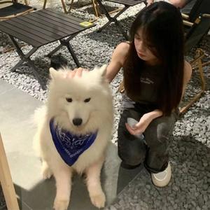 Let Me Say(劳力士进行曲)