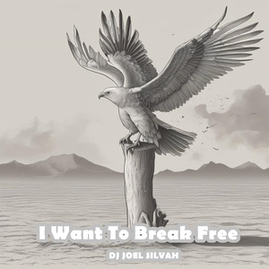 I Want To Break Free