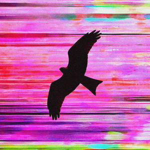 bird spell