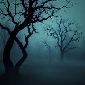Veil of Shadows