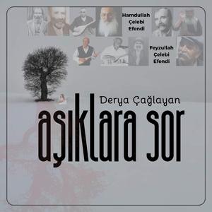 Karşıdan Salınıp Naz İle Gelen