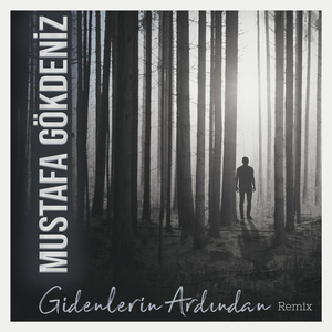 Gidenlerin Ardından (Remix)