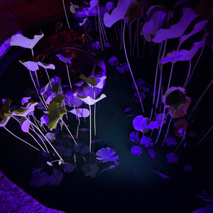 i wish this was right