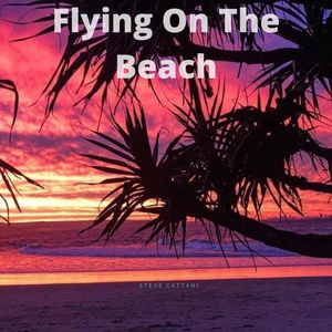 Flying On The Beach