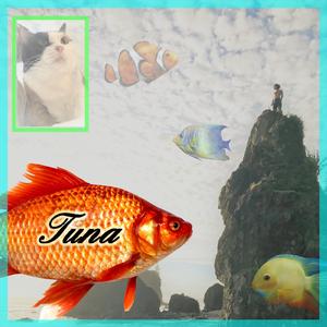 Tuna
