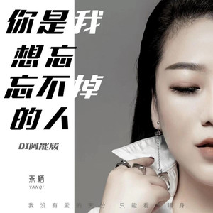 你是我想忘忘不掉的人 (DJ阿能版)