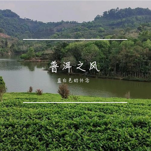 普洱星云备忘录