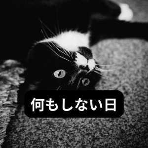 何もしない日