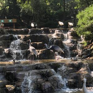 Sweet field-someting just like this（祖研 remix）