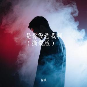是你没选我啊  (Remix)