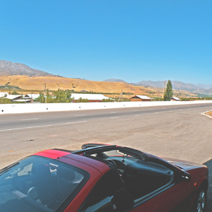 Brother (202/6 Recordings)