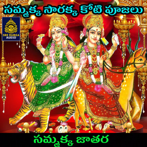 Samakka jathara (Sammakka Sarakka Koti Pujalu)