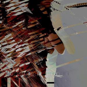 Vade in Pace (feat. A S I G N V L T R I V N G U L V T E D in Cryptographic Hash)