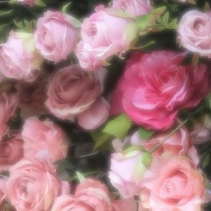 「いちご白書」をもう一度