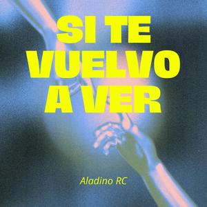 Si te vuelvo a ver