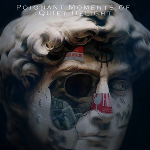 Poignant Moments of Quiet Delight