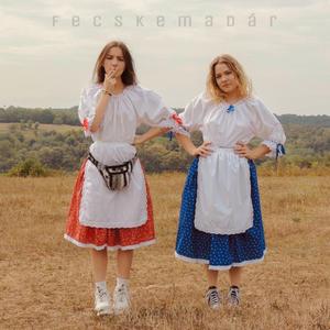 fecskemadár (feat. Æisa)