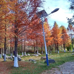 多想还小-（豆包）热门