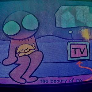 The Beauty Of My TV