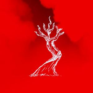 Adornarte