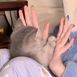 琴师(Cover 音频怪物）