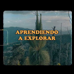 Aprendiendo A Explorar