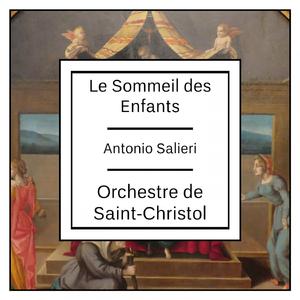 Mass No.1 in D Major, IAS. 24: IV. Andante maestoso