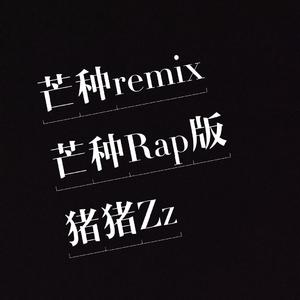 音阙诗听-芒种Remix Rap版（猪猪Zz remix）