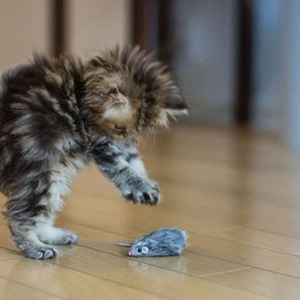 Money All Over the World (sped up)