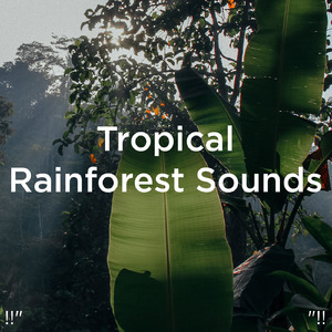 편안한 물 소리