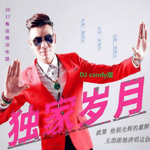 独家岁月 (DJ版)