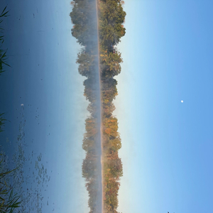 Earth Shifts
