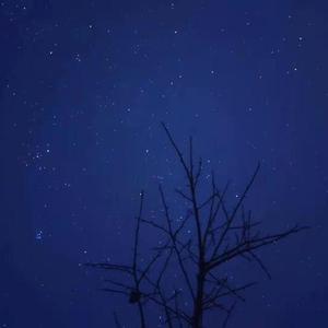 微风邀请你，做一个夏天的梦