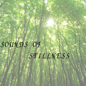 calm after the storm