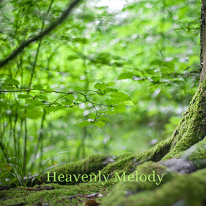 Escencias Naturales Nº8