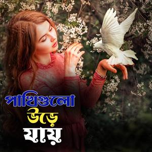 Pakhigulo Ore Jay (পাখি গুলো উড়ে যায়)