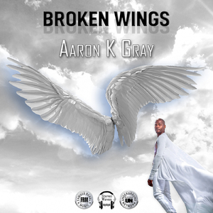 Broken Wings (DJ Gomi Stereo Waves Rejoice Mix)