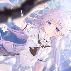 鸟白岛