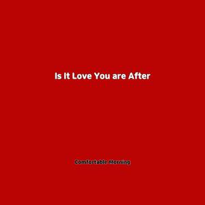 Is It Love You are After