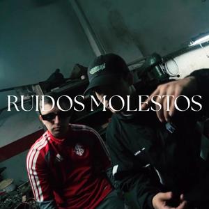 RUIDOS MOLESTOS (feat. Ualde)