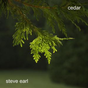 cedar