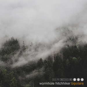 Bipolare (Original Mix)