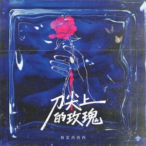 刀尖上的玫瑰 (DJ豪豪版)降调版