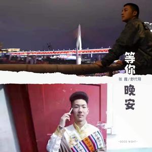 等你晚安