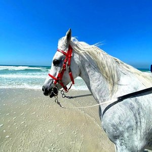 Lean On Olympus（3D 环绕版）（Salao remix）