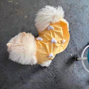 西藏的孩子的梦