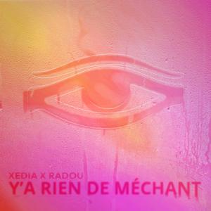 Y'A RIEN DE MÉCHANT (feat. RADOU)