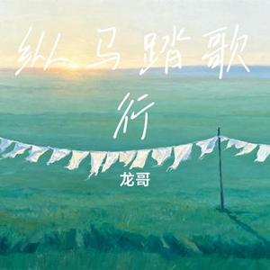 纵马踏歌行 (龙哥 Remix)
